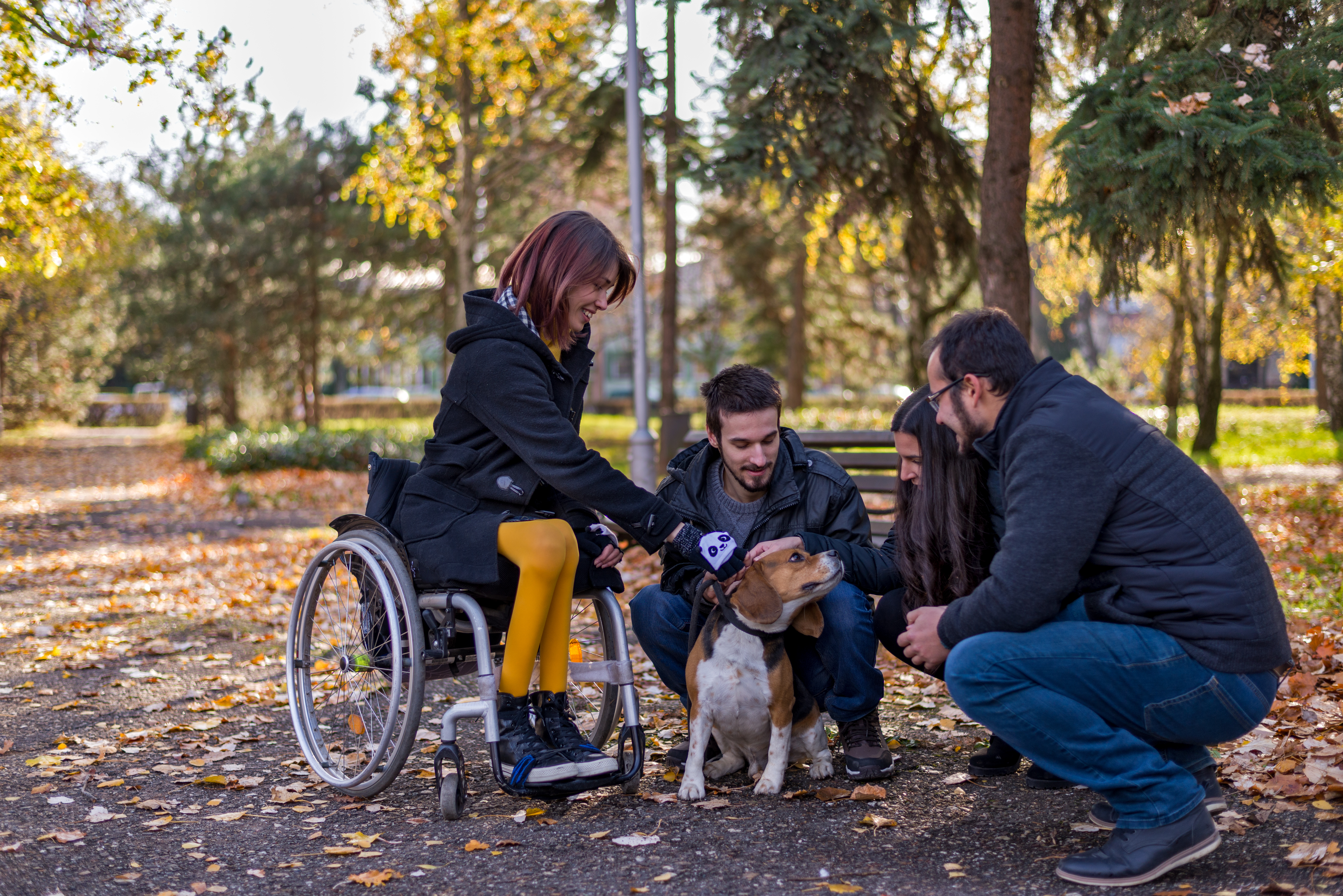 A disabled girl in a wheelchair playing with friends and dog in the park
